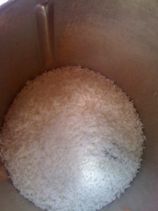 Superfood Choccie Fudge-coconut