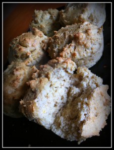 Yeast Free, gluten free, dairy free, sugar free rolls with citric acid-001