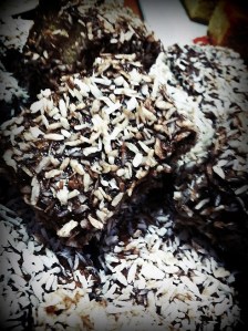 Lamingtons GF DF SF-001