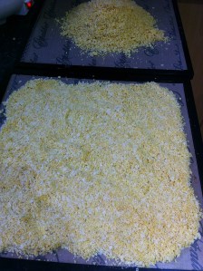 Chickpeas cooked, whizzed and ready for dehydrating-001