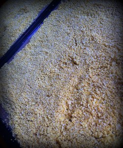 Chickpeas dehydrated-002