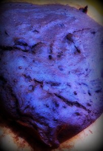 chocolate cake GF-DF-EF-NF-SF 1-001