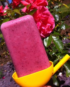 Berry icy poles (2)-001
