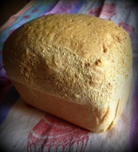 Gluten free best bread ever (6)-001